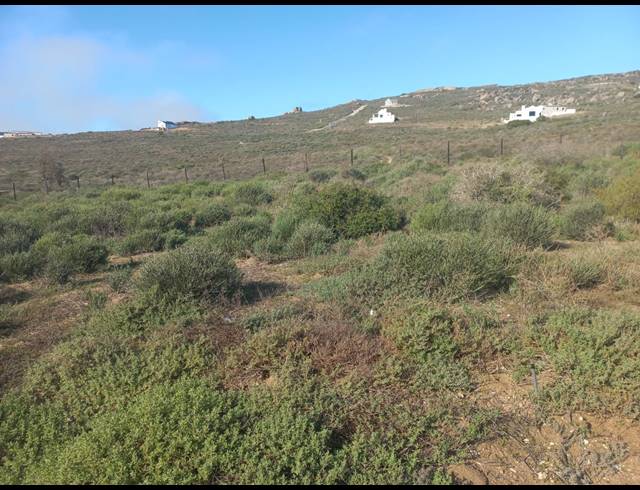 450M² VACANT LAND FOR SALE IN STEENBERGS COVE